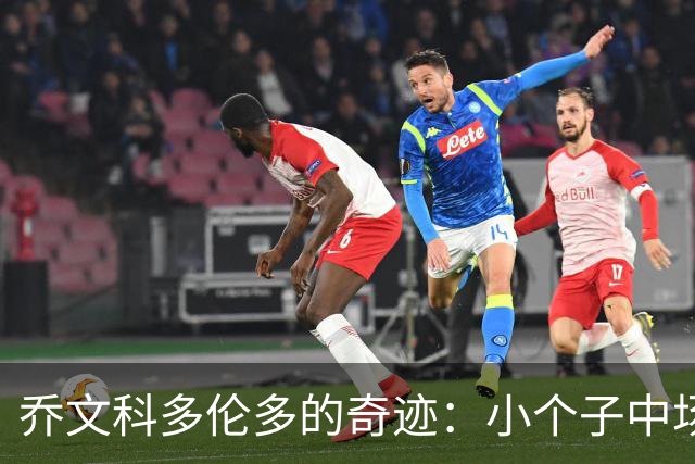 乔文科多伦多的奇迹：小个子中场的适配与突围