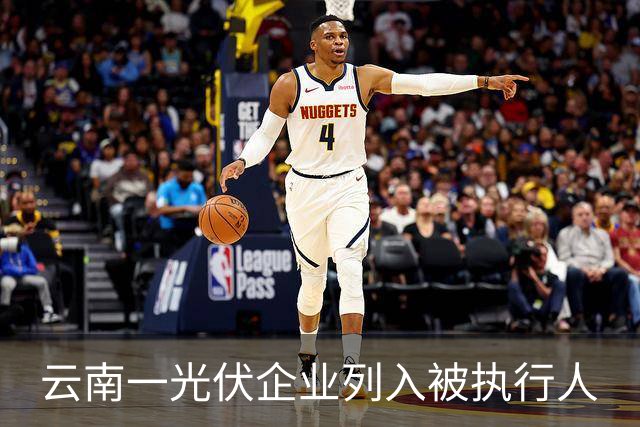 云南一光伏企业列入被执行人