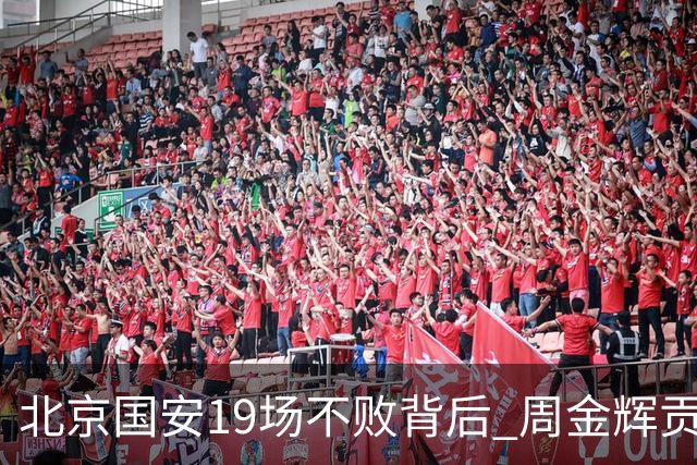 北京国安19场不败背后 周金辉贡献了什么