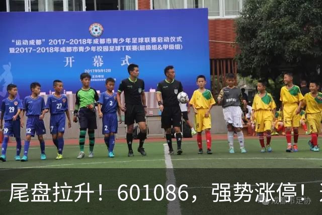 尾盘拉升！601086，强势涨停！这一板块逆市爆发
