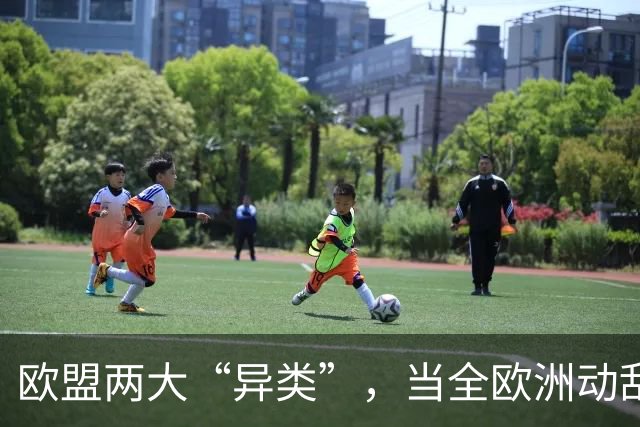 欧盟两大“异类”，当全欧洲动乱时，靠中国走上“捷径”躲过一劫