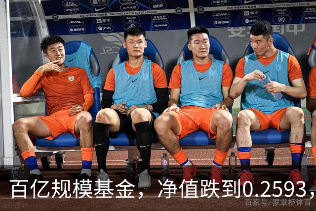 百亿规模基金，净值跌到0.2593，暴跌74%，亏得基民都不敢看账户