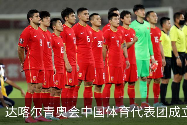达喀尔青奥会中国体育代表团成立-国际在线
