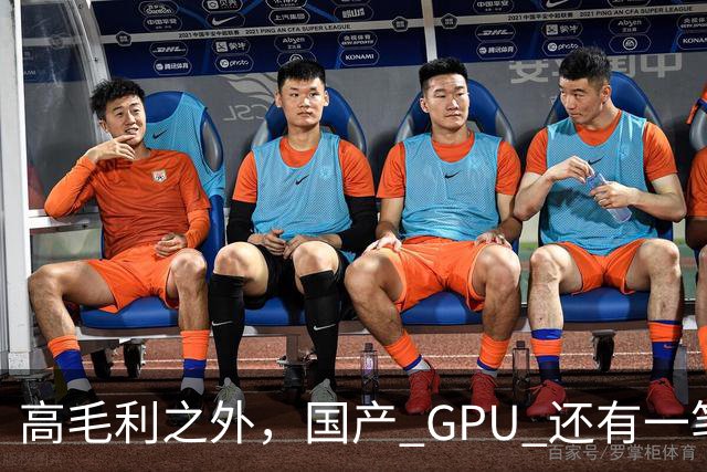 高毛利之外，国产 GPU 还有一笔 “软件账”